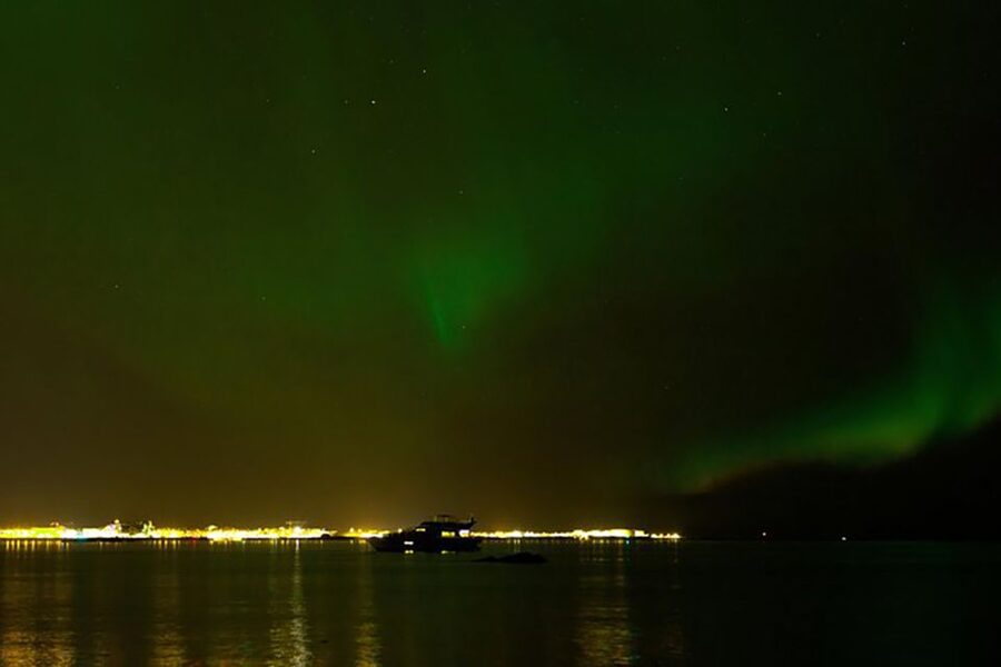From Reykjavik: New Years Fireworks by Boat - Booking and Preparation Tips