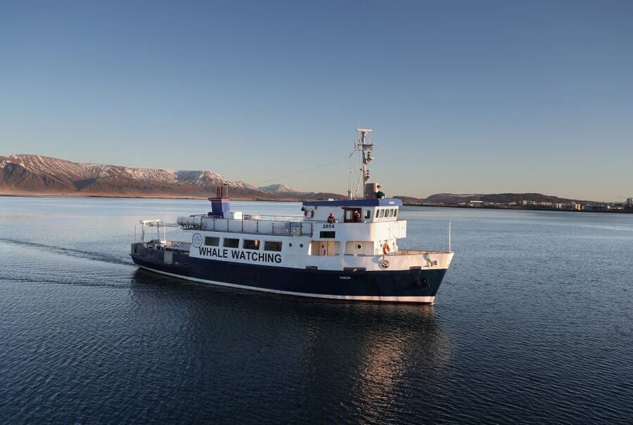 From Reykjavik: New Years Fireworks by Boat - Champagne, Blankets, and the Midnight Toast