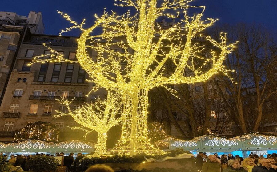 From Santiago: Christmas Lights of Vigo And Pontevedra - Practical tips for making the day easier