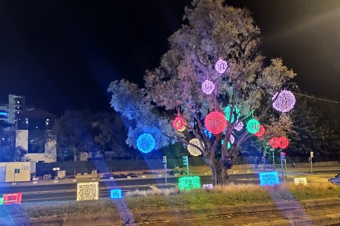 Funchal Christmas lights sightseeing night tour - Funchal’s Christmas lights from a classic car