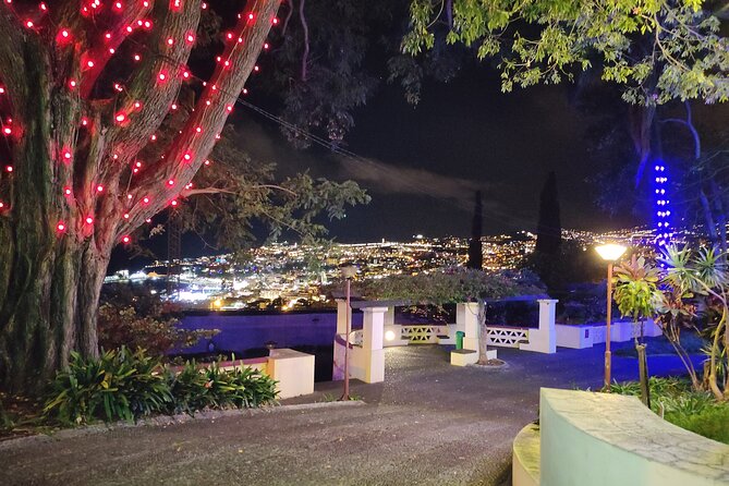 Funchal Christmas lights sightseeing night tour - Is $42.24 a fair price?