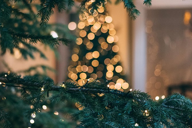 Iceland's Christmas Myths and Traditions - Reykjavík walking tour - How the Christmas Stories Shape the Experience
