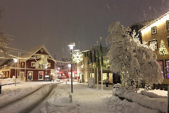 Iceland's Christmas Myths and Traditions - Reykjavík walking tour - Booking and Cancellation Details