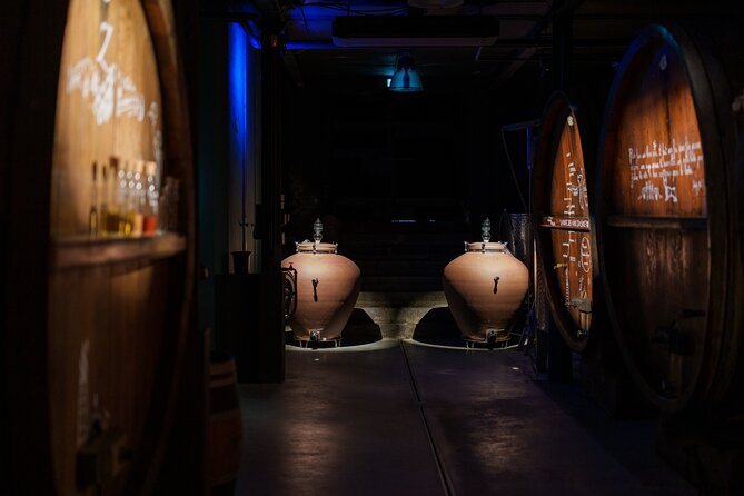 Immersive Christmas cellar visit and Alsace wine tasting - Who will enjoy this cellar visit?