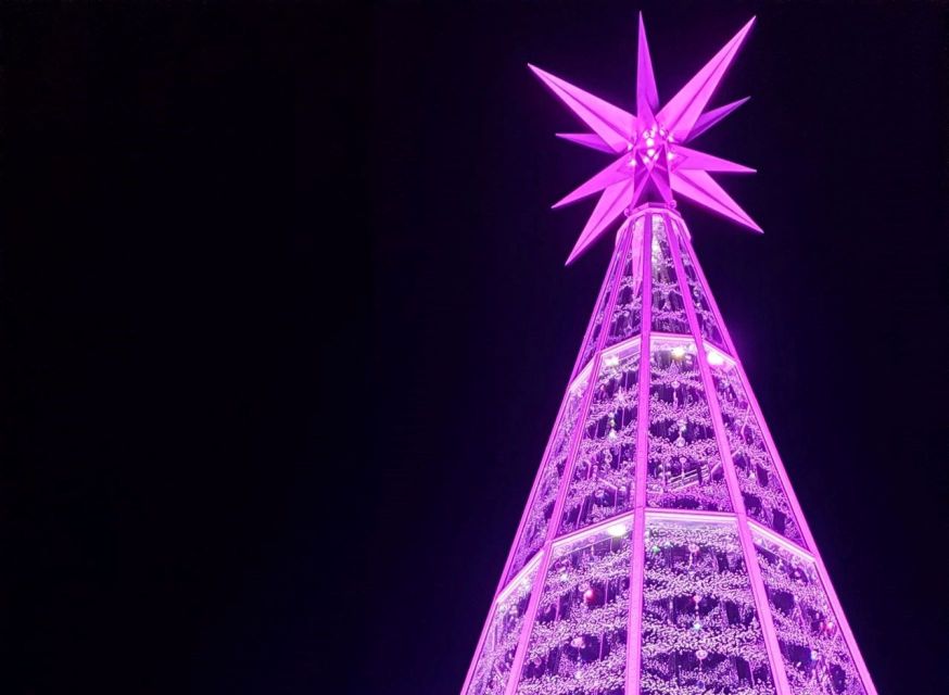 Innsbruck: Christmas Tour with a licensed guide - The Swarovski crystal tree and modern Christmas design
