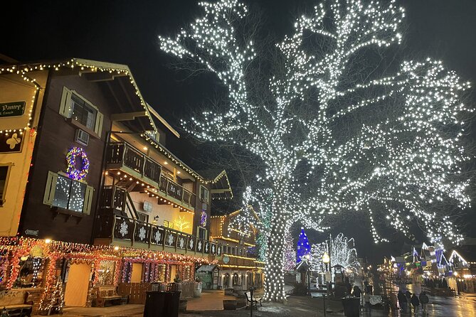 Leavenworth Christmas Lights Tour from Seattle - Deception Falls, with a winter warning