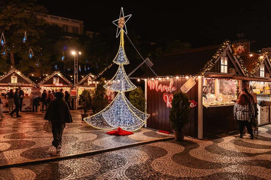Lisbon: Christmas Flexible Walking Tour - Largo Luís de Camões and Chiado after dark