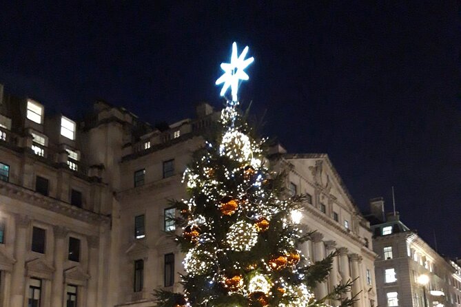 London Bespoke Black Cab Christmas Lights & Sights Private Tour - Harrods keeps the display grand