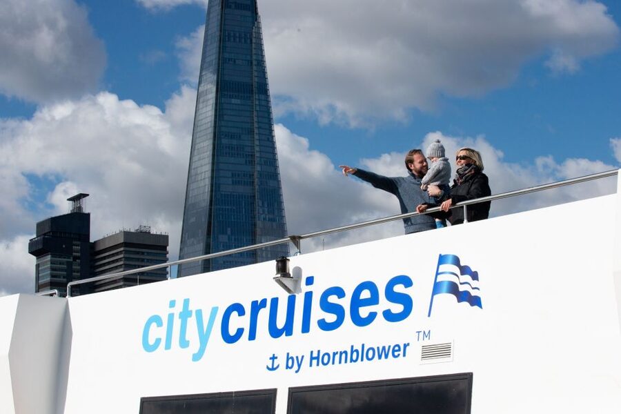 London: Christmas Day Sightseeing Cruise - Key points to know before booking