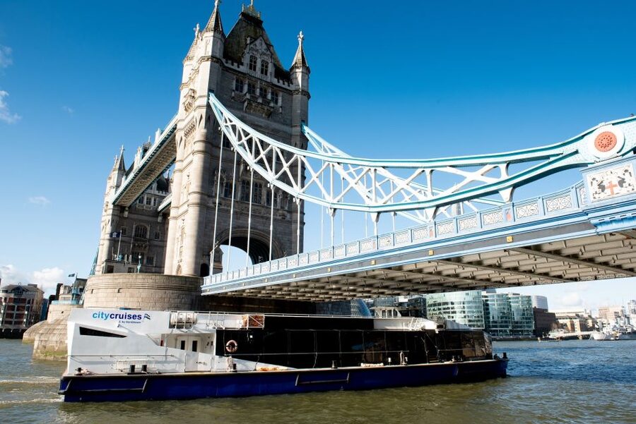 London: Christmas Day Sightseeing Cruise - Boarding at Westminster Millennium Pier