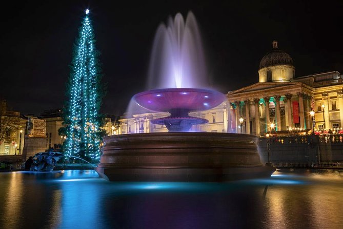 London Christmas Lights Private Night Photography Tour - Piccadilly Circus: framing bright curves and busy light