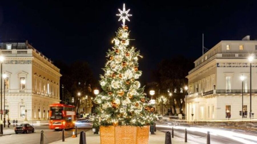 London: Christmas Lights Tour, Mince Pies, & Festive Drinks - Oxford Street and Regent Street lights