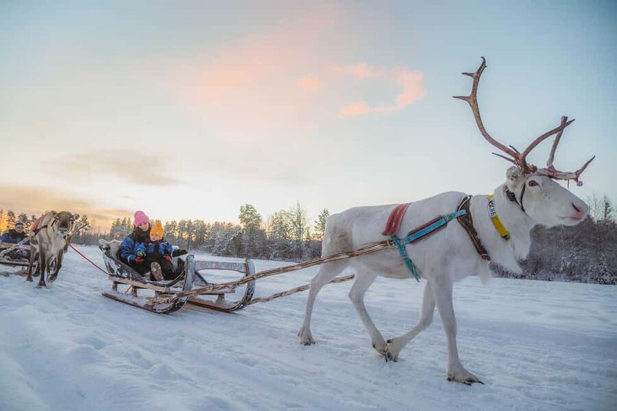 Magical Private Santa Visit, Reindeer Ride & Elf Workshops - A reindeer sleigh ride through the mystery forest