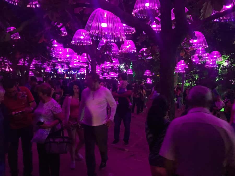Medellin Christmas Lights Tour - Why Medellin’s Christmas lights are worth seeing