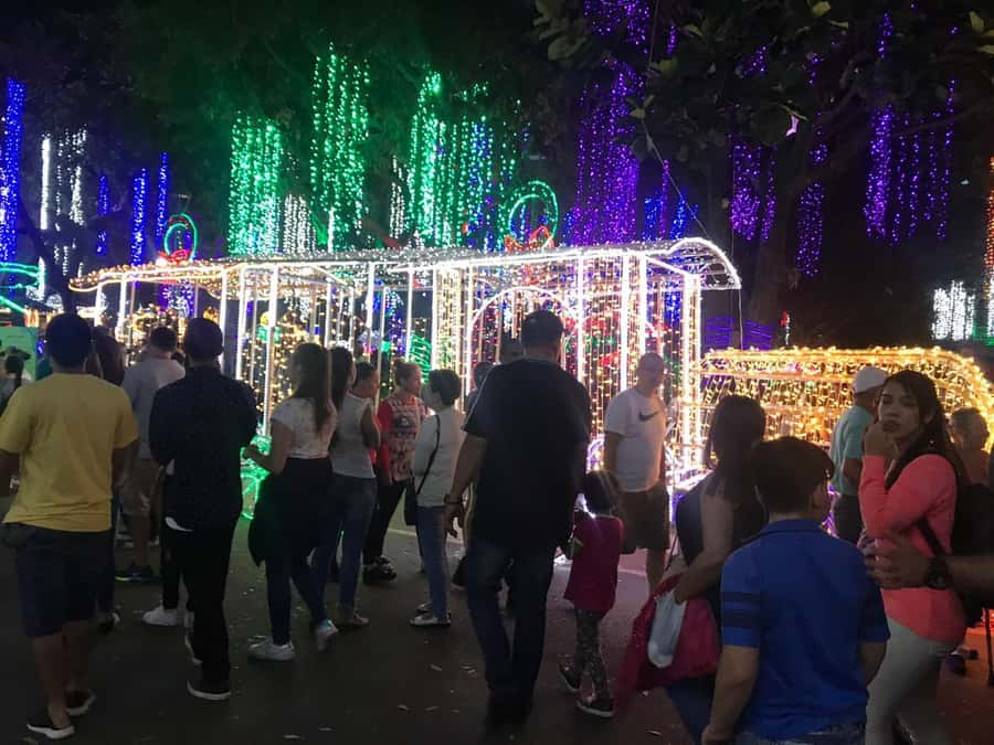 Medellin Christmas Lights Tour - Starting in El Poblado with a private car