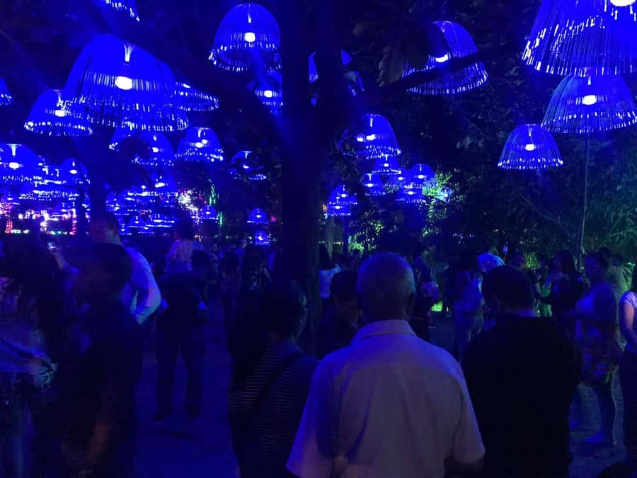 Medellin Christmas Lights Tour - Is $60 per person a fair price?
