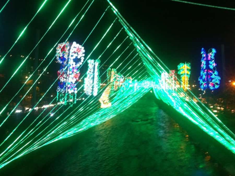 Medellin Christmas Lights Tour - Who should book this Christmas lights tour?