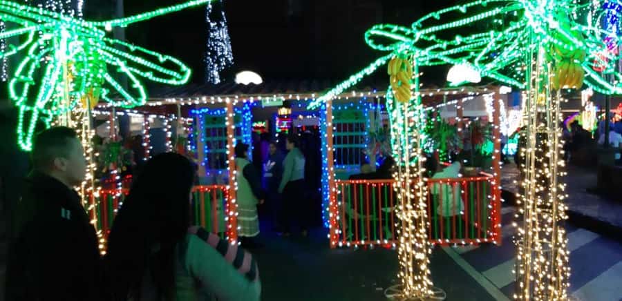 Medellin Christmas Lights Tour - Practical details before you reserve