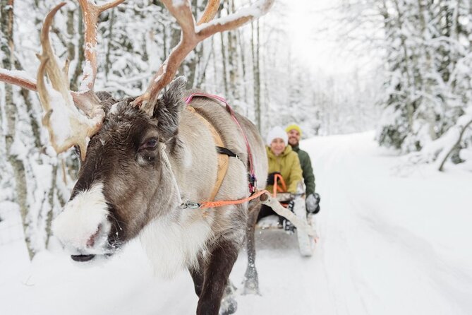 Meet Santa Claus & Santa's Reindeer Ride & Greet Huskies - Transport, pickup limits, and group size