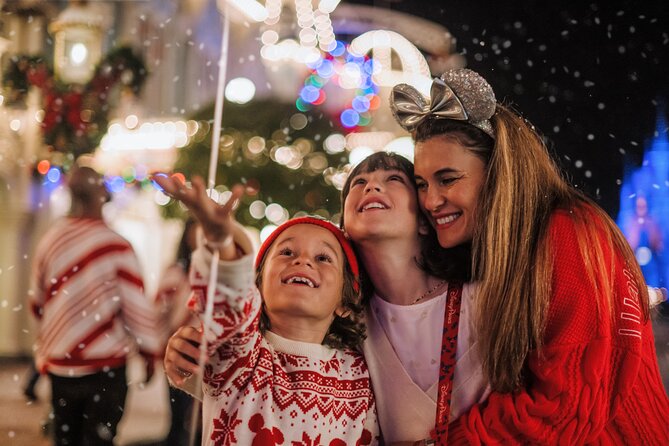 Mickey's Very Merry Christmas Party at the Magic Kingdom - The Frozen show at Cinderella Castle