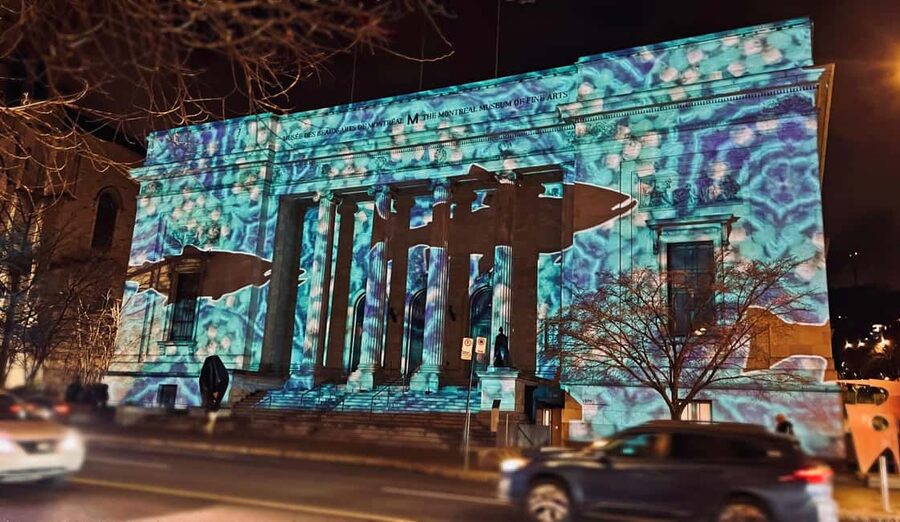 Montreal: Christmas Lights Private Walking Tour - What the private format is worth at $93