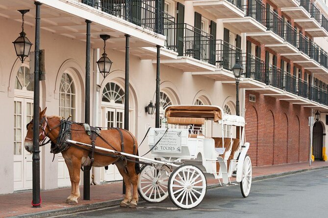 New Orleans French Quarter: Seasonal Christmas Tour - Key points to know before you book