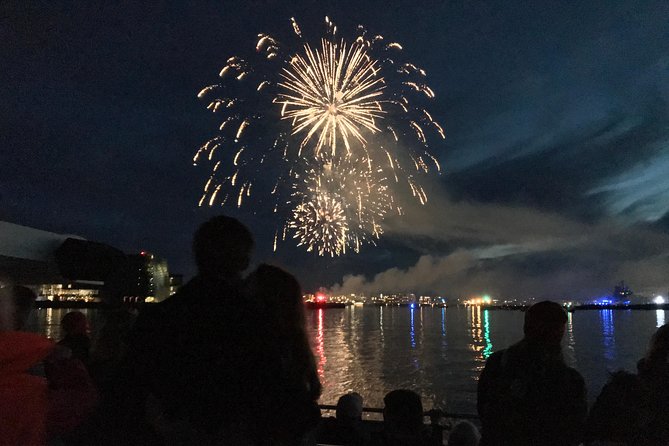 New Year's Eve Fireworks Cruise in Reykjavik - Does the $183.84 price make sense?