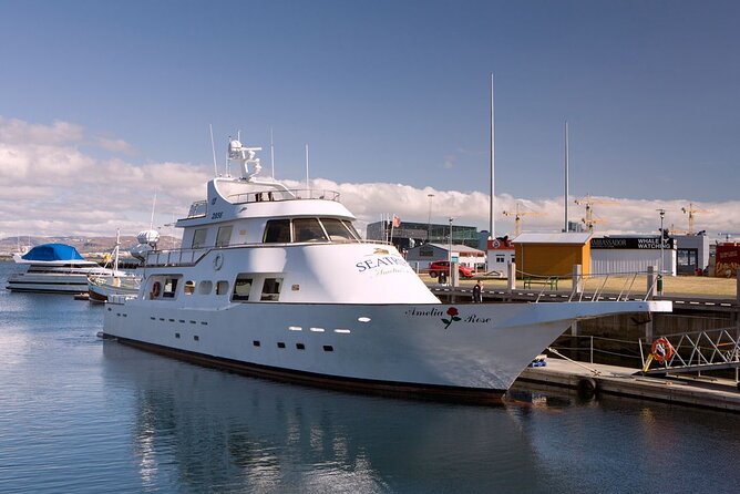 New Year's Eve Reykjavík Cruise - The cold-weather question matters