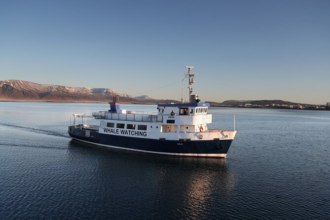 New Years Fireworks by Boat from Reykjavik - A possible northern lights bonus