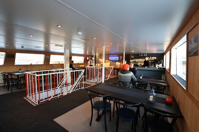 New Years Fireworks by Boat from Reykjavik - Booking, weather, and timing