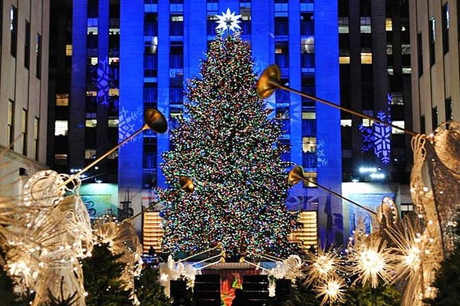 New York Christmas Holiday Small-Group Walking Tour - Key points at a glance