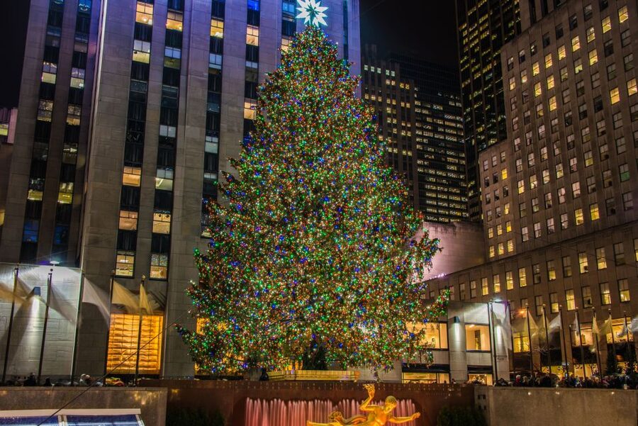 New York City: Christmas Holiday Tour of Manhattan - The guides can make or break a crowded walk