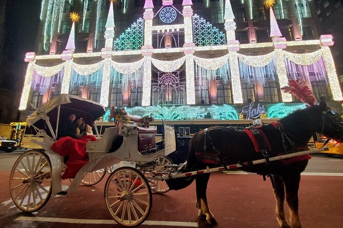 New York City Christmas Lights Private Horse Carriage Ride - A Carriage View of New York at Christmas