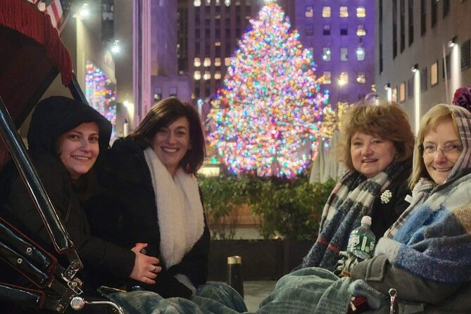 New York City Christmas Lights Private Horse Carriage Ride - Fifth Avenue’s Store Windows and Hotel Lights