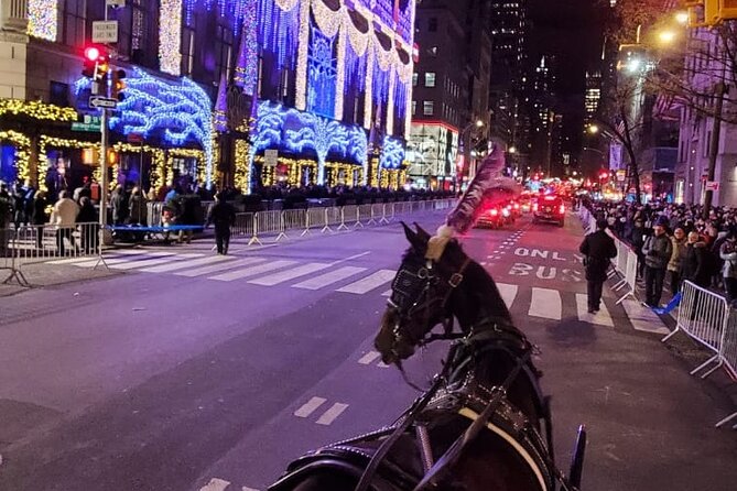 New York City Christmas Lights Private Horse Carriage Ride - The Best Parts of the Ride, According to the Details