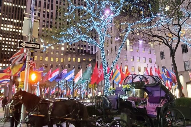 New York City Christmas Lights Private Horse Carriage Ride - Is $220 Good Value for Your Group?