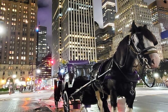 New York City Christmas Lights Private Horse Carriage Ride - Keeping Warm and Comfortable
