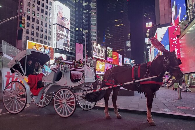 New York City Christmas Lights Private Horse Carriage Ride - Weather, Cancellation, and Practical Planning