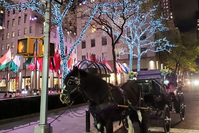 New York City Christmas Lights Private Horse Carriage Ride - Who Will Enjoy This Most?