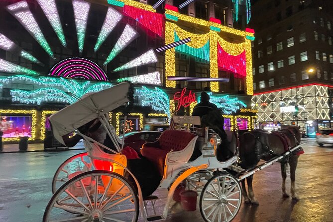 New York City Christmas Lights Private Horse Carriage Ride - Rockefeller Center and the Big Christmas Tree