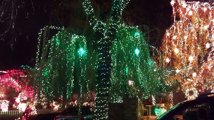 New York City: Dyker Heights Christmas Lights Tour - Crossing the Battery Tunnel into Brooklyn
