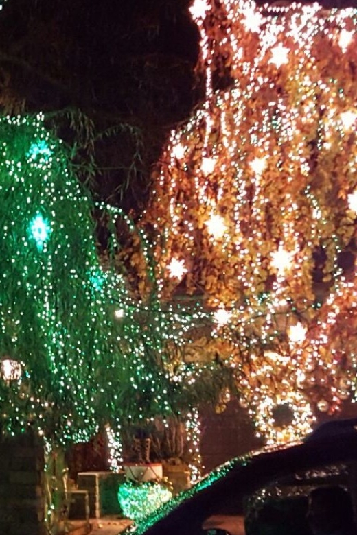 New York City: Dyker Heights Christmas Lights Tour - Walking through Dyker Heights for about an hour