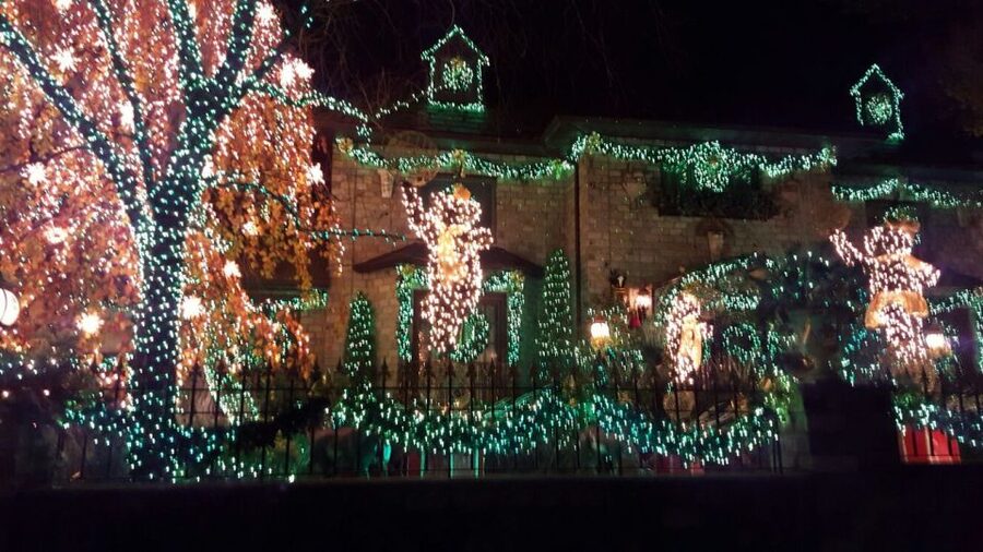 New York City: Dyker Heights Christmas Lights Tour - Christmas music, snacks, and the small details