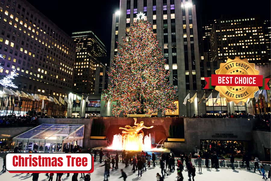 New York: Rockefeller Center Christmas Tree Pedicab Tour - Fifth Avenue’s holiday windows