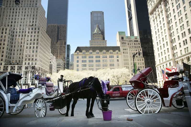 NYC: Central Park Christmas Lights Horse-Drawn Carriage Ride - Starting at 59th Street and Seventh Avenue