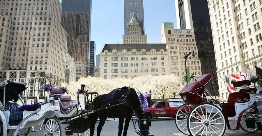 NYC: Central Park Christmas Lights Horse-Drawn Carriage Ride - Central Park after dark