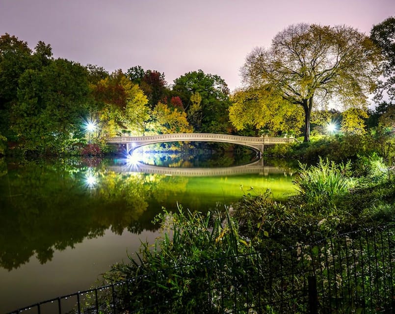 NYC: Central Park Christmas Lights Horse-Drawn Carriage Ride - What the $275 price really buys