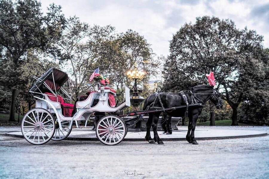 NYC: Central Park Christmas Lights Horse-Drawn Carriage Ride - Should you book the Christmas carriage ride?