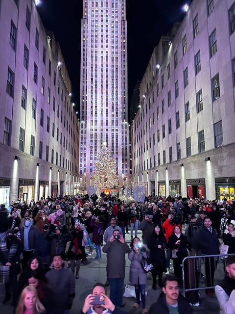 NYC: Christmas Lights Horse Carriage Ride - Key points to know before you book
