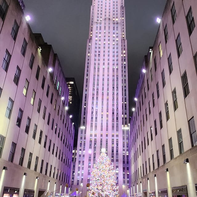 NYC: Christmas Lights Horse Carriage Ride - Starting at Central Park and 59th Street